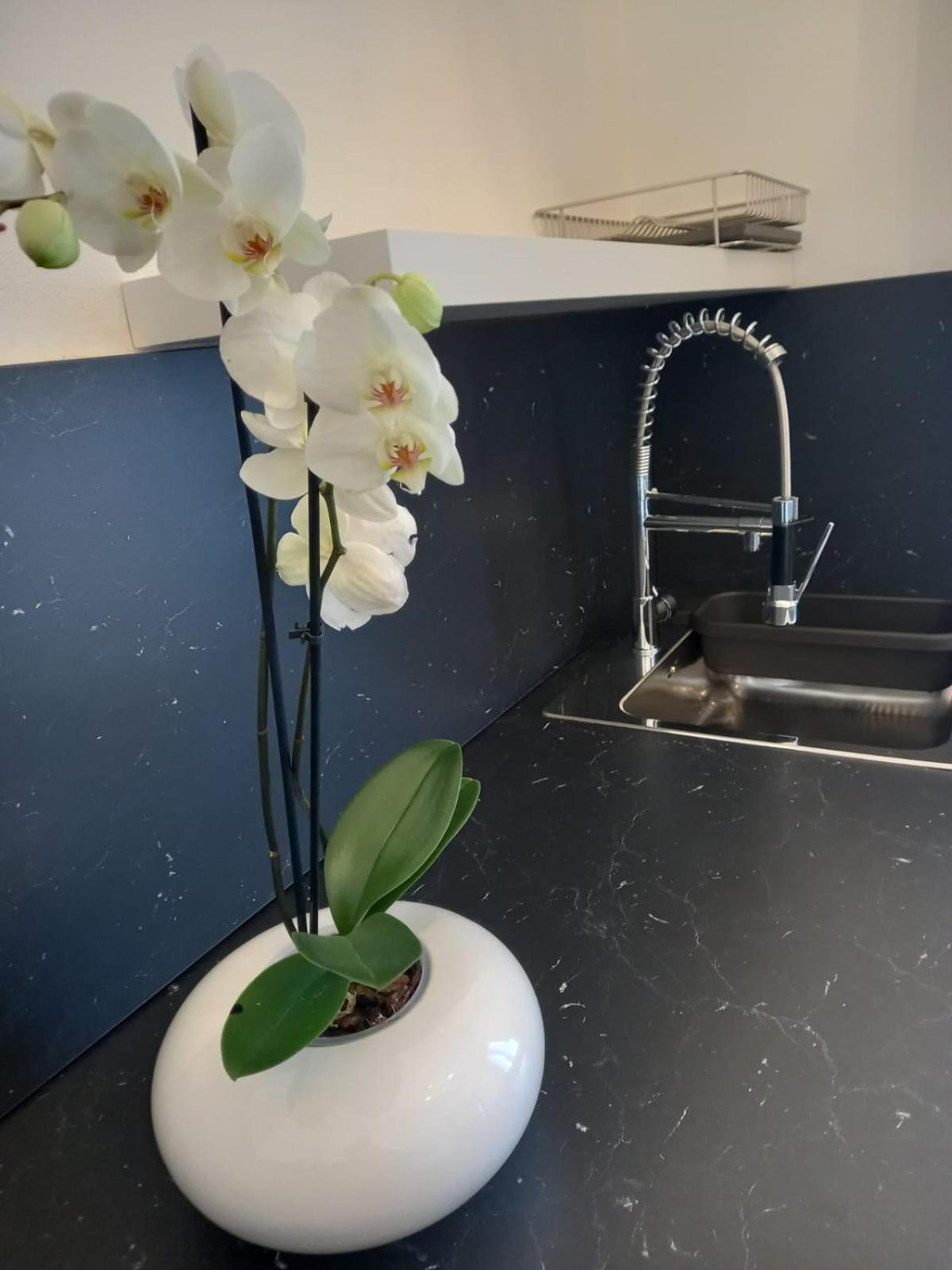דירות Casa Porta Vescovo ורונה מראה חיצוני תמונה